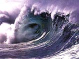 Цунами прошло по всему Тихому океану и дошло до России в виде 29-сантиметровой волны