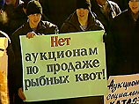 Рыбаки требуют отставки правительства, вывода всех иностранных рыболовецких судов из Охотского моря и отмены постановления о продаже квот на добычу биоресурсов Рыбаки требуют отставки правительства, вывода всех иностранных рыболовецких судов из Охотского моря и отмены постановления о продаже квот на добычу биоресурсов