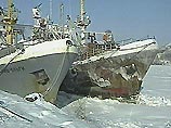 Во Владивостоке бастуют экипажи 350 судов