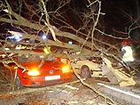 Шесть шведов погибли в воскресенье в результате самого сильного за последние годы урагана в Скандинавии. По данным полиции и службы спасения Швеции, основной удар стихия нанесла по южным районам королевства, где скорость ветра превышала 120 км в час Шесть шведов погибли в воскресенье в результате самого сильного за последние годы урагана в Скандинавии. По данным полиции и службы спасения Швеции, основной удар стихия нанесла по южным районам королевства, где скорость ветра превышала 120 км в час