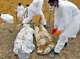 Власти Таиланда раскапывают братские могилы в поисках иностранцев Власти Таиланда раскапывают братские могилы в поисках иностранцев