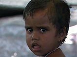 Сразу девять женщин в Шри-Ланке претендуют на одного ребенка, которому удалось чудом уцелеть в время страшного цунами, которое обрушилось на побережье этой южноазиатской страны 26 декабря прошлого года
