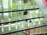 Кузнецова и Дементьева оказались вовлечены в допинговый скандал
Кузнецова и Дементьева оказались вовлечены в допинговый скандал