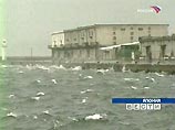 На японских островах мощное 6,8-балльное землетрясение вызвало цунами На японских островах мощное 6,8-балльное землетрясение вызвало цунами