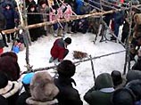 Напомним, что представители коренных малочисленных народов севера Сахалина 20 января 2005 года готовились начать бессрочную акцию "Зеленая волна" по пикетированию нефтяных объектов в Охинском и Ногликском районах острова Напомним, что представители коренных малочисленных народов севера Сахалина 20 января 2005 года готовились начать бессрочную акцию "Зеленая волна" по пикетированию нефтяных объектов в Охинском и Ногликском районах острова
