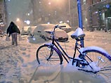 К северу от Бостона (штат Массачусетс) толщина снежного покрова составила почти 80 см, в отдельных районах Нью-Гэмпшира - до 60 см, в Кэтскилльских горах в штате Нью-Йорк - около полуметра К северу от Бостона (штат Массачусетс) толщина снежного покрова составила почти 80 см, в отдельных районах Нью-Гэмпшира - до 60 см, в Кэтскилльских горах в штате Нью-Йорк - около полуметра