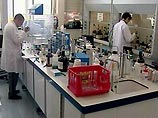 Раскрыт секрет африканской травки, спасающей от алкогольной и наркотической зависимости Раскрыт секрет африканской травки, спасающей от алкогольной и наркотической зависимости