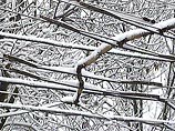Сильный снегопад с порывами ветра до 25 метров в секунду при морозе 18 градусов продолжается также в Суровикинском, Чернышковском районах