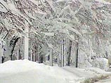 Как сообщили РИА "Новости" в управлении МЧС по Мурманской области, после полудня южный, юго-восточный ветер, сопровождавшийся сильным снегопадом, достигал 25-27 метров в секунду