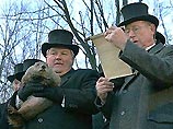 Сурок Фил предсказал американцам долгую зиму Сурок Фил предсказал американцам долгую зиму