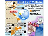 Во Вьетнаме сразу 8 человек госпитализированы с подозрением на "птичий грипп" 