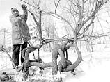 Пожилой китаец научился выращивать стулья (ФОТО) Пожилой китаец научился выращивать стулья (ФОТО)