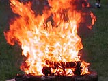 В Ленобласти преступник, совершив двойное убийство, пытался сжечь трупы