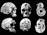 Homo sapiens на 65000 лет старше, чем считалось ранее, установили ученые Homo sapiens на 65000 лет старше, чем считалось ранее, установили ученые