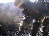 При пожаре в подмосковной деревне погибли семь человек При пожаре в подмосковной деревне погибли семь человек
