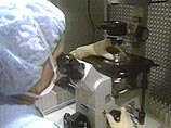 С помощью новой японской зубной пасты кариес можно вылечить без бормашины С помощью новой японской зубной пасты кариес можно вылечить без бормашины
