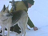 Браконьер из КНР пытался сбежать от пограничников Забайкалья на ходулях Браконьер из КНР пытался сбежать от пограничников Забайкалья на ходулях