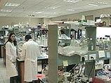 Врачи приступили к испытанию вакцины от ВИЧ на живых шведах Врачи приступили к испытанию вакцины от ВИЧ на живых шведах