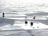 На Ладоге треснул лед: на трех дрейфующих льдинах осталось много людей и автомобилей
На Ладоге треснул лед: на трех дрейфующих льдинах осталось много людей и автомобилей