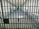 В Ираке арестован сводный брат Саддама Хусейна В Ираке арестован сводный брат Саддама Хусейна