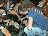 Ариэль Шарон: Израиль прекращает дипломатические контакты с ПНА Ариэль Шарон: Израиль прекращает дипломатические контакты с ПНА
