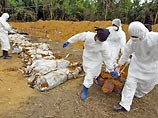 Из более 4500 погибших от цунами в Таиланде опознаны только 575 Из более 4500 погибших от цунами в Таиланде опознаны только 575