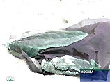 У нового "Фольксвагена-Пассата" не раскрылась подушка безопасности со стороны водителя, из-за чего артист получил сильную черепно-мозговую травму и тупую травму живота У нового "Фольксвагена-Пассата" не раскрылась подушка безопасности со стороны водителя, из-за чего артист получил сильную черепно-мозговую травму и тупую травму живота