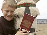 Британские ослы получают паспорта