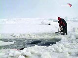 Чтобы спасти китов-касаток десятки людей бензопилами пилят лед Охотского моря и расширяют полыньи, в которых находятся животные