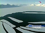 Жители Курил и бойцы МЧС бензопилами выпиливают китов, застрявших во льдах Охотского моря (ФОТО)