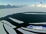Застрявших во льдах Охотского моря китов будут эвакуировать на военных вертолетах