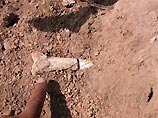В Эфиопии найден скелет древнейшего человека