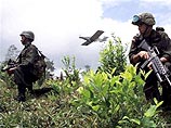 В Мексике полицейский вертолет упал на поле кокаина