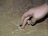 Неизвестные злоумышленники разливают ртуть в крупных магазинах и организациях Великого Новгорода Неизвестные злоумышленники разливают ртуть в крупных магазинах и организациях Великого Новгорода