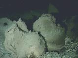 На дне Красного моря в пещерах найдены корабли, принесенные в жертву богам На дне Красного моря в пещерах найдены корабли, принесенные в жертву богам