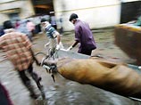 От удара цунами женщин погибло в четыре раза больше, чем мужчин От удара цунами женщин погибло в четыре раза больше, чем мужчин