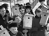 В Москву прилетели грачи. Город дождался весны В Москву прилетели грачи. Город дождался весны