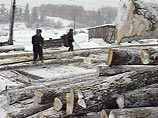 В "местах не столь отдаленных" в общей сложности 620 тысяч российских заключенных искупают свою вину, работая на лесоповале, в швейном производстве и в горнодобывающей промышленности