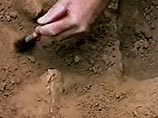 Уникальная находка сделана в долине Эр-Райян, расположенной близ Фаюмского оазиса в 100 км к юго-западу от Каира Уникальная находка сделана в долине Эр-Райян, расположенной близ Фаюмского оазиса в 100 км к юго-западу от Каира