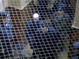 Обвиняемый в убийстве Старовойтовой на суде признал свою вину Обвиняемый в убийстве Старовойтовой на суде признал свою вину