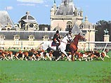 В Московском фотоцентре открывается выставка Алексея Шторха "Лицо коня" В Московском фотоцентре открывается выставка Алексея Шторха "Лицо коня"