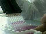 Эксперты ВОЗ опасаются, что образцы смертельного вируса, по ошибке высланные в Мексику и Ливан, могут попасть к террористам Эксперты ВОЗ опасаются, что образцы смертельного вируса, по ошибке высланные в Мексику и Ливан, могут попасть к террористам