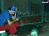 В Индии покончил с собой продюсер, организовавший гастроли "Росгосцирка" В Индии покончил с собой продюсер, организовавший гастроли "Росгосцирка"