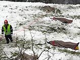 В Швейцарских Альпах автобус упал в пропасть - 12 погибших В Швейцарских Альпах автобус упал в пропасть - 12 погибших