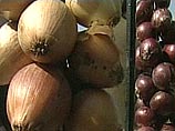 Лукашенко продает России продукты питания из зоны чернобыльской катастрофы Лукашенко продает России продукты питания из зоны чернобыльской катастрофы