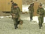 Пограничники на границе с Эстонией нашли контрабандный трубопровод, который искали 2 года Пограничники на границе с Эстонией нашли контрабандный трубопровод, который искали 2 года