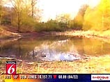 Активисты обществ по защите животных и ветеринары недоумевают. В Германии за несколько дней странным образом буквально взорвалась почти тысяча жаб Активисты обществ по защите животных и ветеринары недоумевают. В Германии за несколько дней странным образом буквально взорвалась почти тысяча жаб