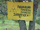 В лесах под Чернобылем комфортно чувствуют себя животные, которым не угрожают охотники. Зона отчуждения заселена оленями, лосями, кабанами, волками, лисами и косулями, а также птицами, занесенными в Красную книгу, в частности, дикой совой и черной цаплей