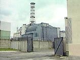Спустя 19 лет после аварии в Чернобыле возродилась природа Спустя 19 лет после аварии в Чернобыле возродилась природа