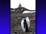 Полярники Антарктиды впервые увидят по ТВ пасхальное богослужение в храме Христа Спасителя